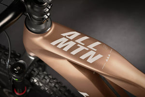 Haibike AllMtn CF 8 (2025)