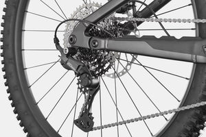 Cannondale Moterra 3 (2026)