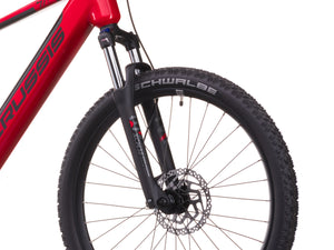 Crussis e-Atland 7.11 (2026)