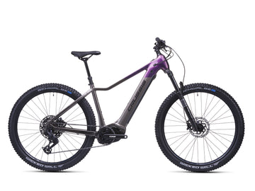 Crussis e-Fionna 10.11 (2026)