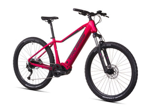 Crussis e-Guera 7.11 (2026)