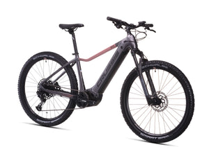 Crussis e-Guera 9.11 (2026)