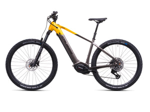 Crussis e-Largo 10.11 (2026)