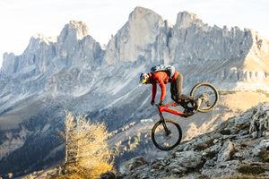 Haibike ALLMTN CF 9 (2026)
