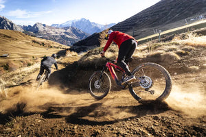 Haibike ALLMTN CF 9 (2026)