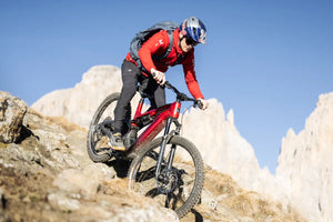 Haibike ALLMTN CF 9 (2026)