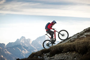 Haibike ALLMTN CF 9 (2026)