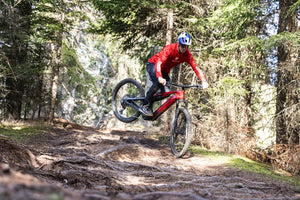 Haibike ALLMTN CF 9 (2026)