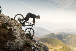 Haibike ALLMTN CF 9 (2026)